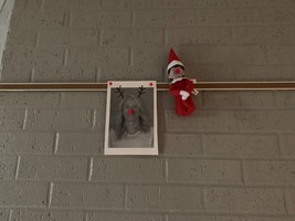 Red Nose Candy